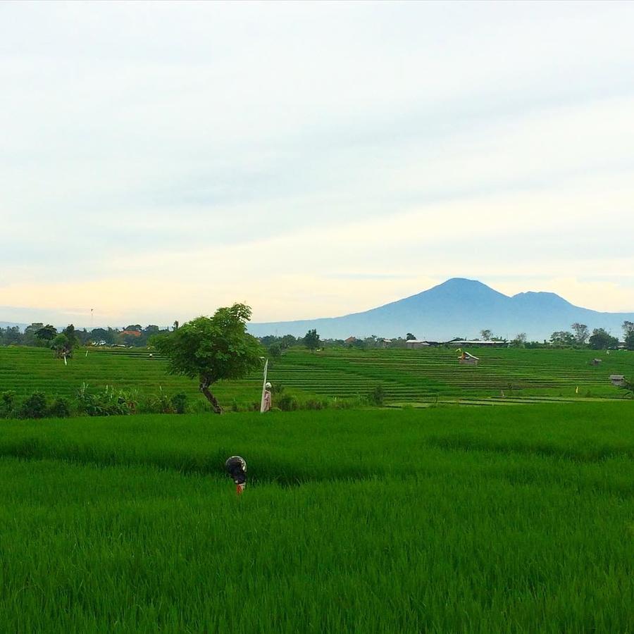 Canggu Beach Hostel Dış mekan fotoğraf